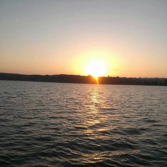 Meet your Posher, Brenda - Picture 1 of 1